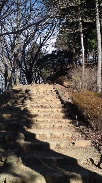 日の出山頂　最後の階段.jpg