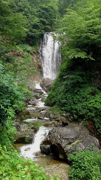 白川郷～種蔵へ向かう途中の滝2.jpg